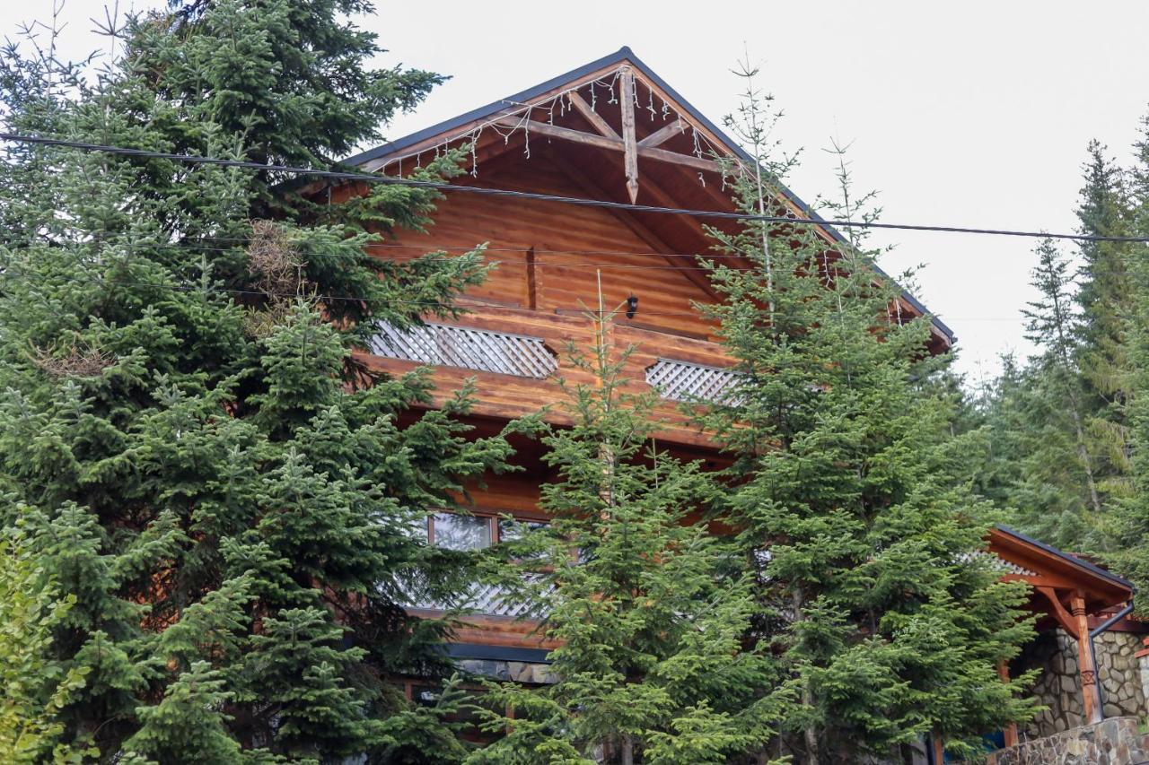 Forest House Migovo Exteriör bild